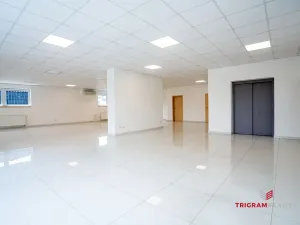 Pronájem komerční, Hradec Králové - Slezské Předměstí, Víta Nejedlého, 300 m2