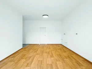 Pronájem bytu 2+kk, Olomouc, Řepčínská, 48 m2