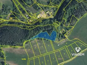Prodej lesa, Zákupy, 2982 m2