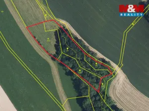 Prodej lesa, Košťálov - Kundratice, 11072 m2