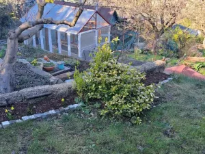 Prodej chaty, Praha, Na Balkáně, 21 m2