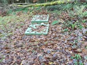 Prodej chaty, Pustá Rybná, 80 m2