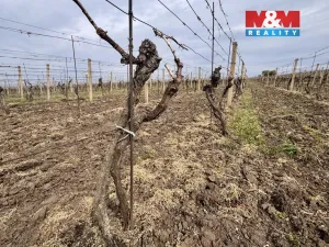 Prodej pole, Velké Bílovice, 3600 m2