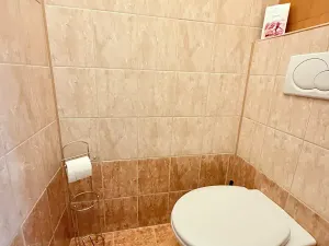 Pronájem bytu 3+1, Hrušovany u Brna, Sídliště, 72 m2