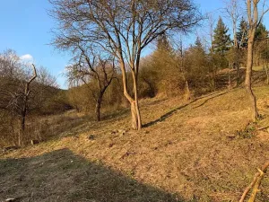 Prodej bytu 5+kk, Lelekovice, Zahumení, 151 m2