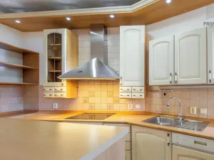 Prodej bytu 4+kk, Brno, Mojžíšova, 171 m2