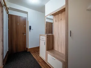 Prodej bytu 2+1, Brno, Opavská, 54 m2