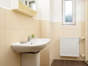 Pronájem bytu 1+1, Ostrava, Palackého, 41 m2