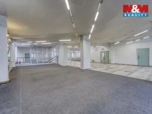Pronájem skladu, Plzeň - Severní Předměstí, alej Svobody, 641 m2