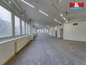 Pronájem skladu, Plzeň - Severní Předměstí, alej Svobody, 641 m2