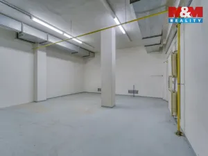 Pronájem skladu, Plzeň - Severní Předměstí, alej Svobody, 641 m2