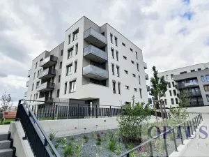 Pronájem bytu 3+kk, Praha - Hloubětín, Waltariho, 73 m2