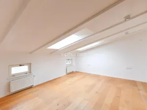 Pronájem bytu 5+kk, Praha - Bubeneč, Mlýnská, 235 m2