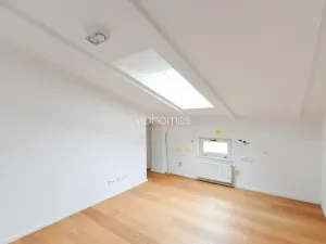 Pronájem bytu 5+kk, Praha - Bubeneč, Mlýnská, 235 m2