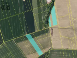 Prodej pole, Turovice, 30796 m2