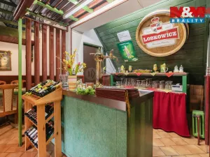 Prodej restaurace, Tisá, 210 m2