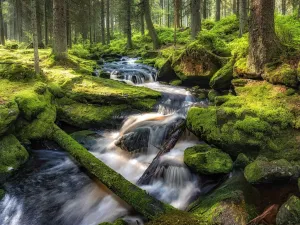 Prodej restaurace, Kvilda, 253 m2