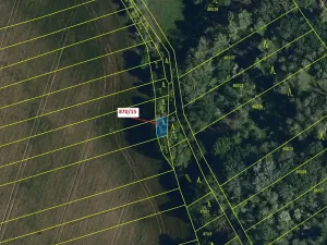 Dražba lesa, Přísnotice, 60 m2