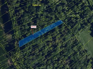 Dražba lesa, Přísnotice, 1778 m2