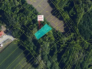 Dražba lesa, Přísnotice, 702 m2