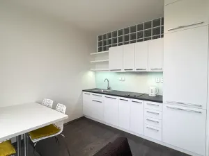 Pronájem bytu 2+kk, Brno, Vinařská, 55 m2