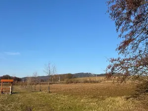 Prodej lesa, Nový Malín, 8466 m2