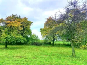 Prodej pozemku pro bydlení, Pecka, 1250 m2