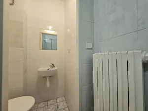 Pronájem bytu 1+kk, Brno, Čechyňská, 25 m2