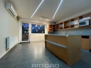 Pronájem obchodního prostoru, Brno, Merhautova, 56 m2