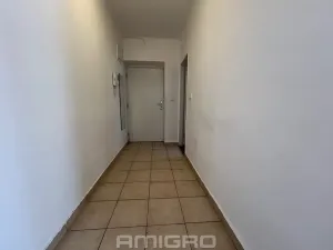 Pronájem bytu 1+1, Brno, Skácelova, 46 m2