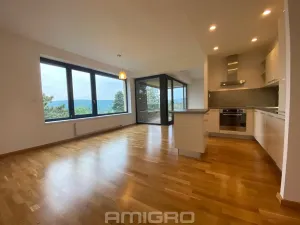 Pronájem bytu 3+kk, Brno, Preslova, 104 m2