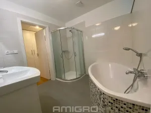 Pronájem bytu 3+kk, Brno, Preslova, 104 m2