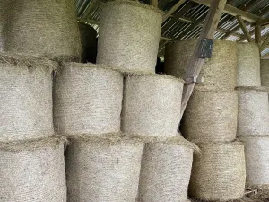 Prodej komerční, Pluhův Žďár - Jižná, 28792 m2