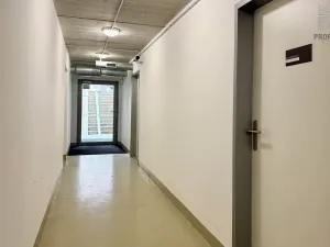 Pronájem bytu 3+kk, Brno, Řípská, 70 m2