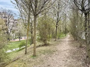 Pronájem bytu 3+kk, Brno, Řípská, 70 m2