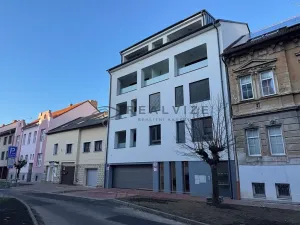 Pronájem bytu 1+kk, České Budějovice, Puklicova, 38 m2