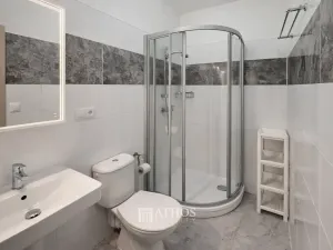 Pronájem bytu 1+kk, Brno, Palackého třída, 27 m2