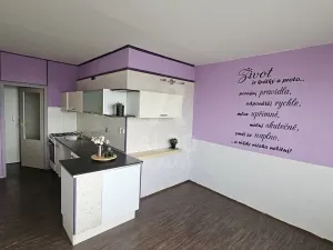 Prodej bytu 1+1, České Budějovice, Čéčova, 51 m2