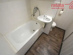 Pronájem bytu 1+1, Chomutov, Růžová, 35 m2