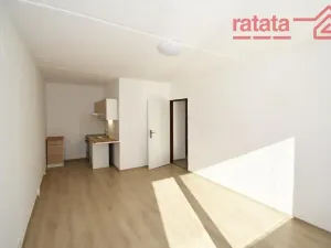 Pronájem bytu 2+kk, Most, Komořanská, 40 m2
