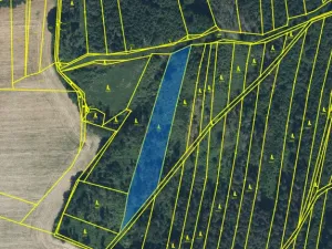 Prodej lesa, Blížejov - Lštění, 4481 m2