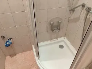 Prodej bytu 2+1, Cheb, Májová, 55 m2