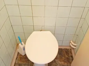 Prodej rodinného domu, Bratkovice, 110 m2