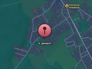 Prodej pozemku pro bydlení, Svojetice, 13429 m2