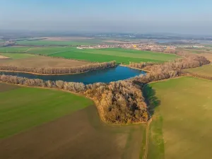 Prodej sadu/vinice, Troskotovice, 243931 m2