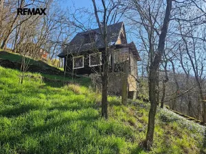 Prodej chaty, Březová-Oleško, 44 m2