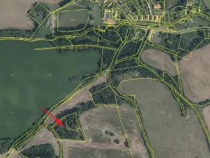 Prodej louky, Mašťov, 9839 m2