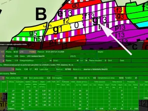 Prodej lesa, Lešná, 10970 m2