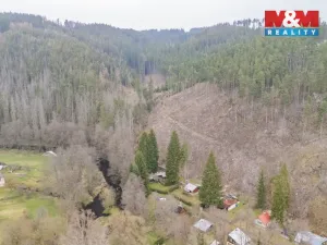 Prodej chaty, Planá - Vížka, 30 m2