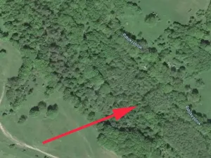 Prodej lesa, Trutnov, 13585 m2